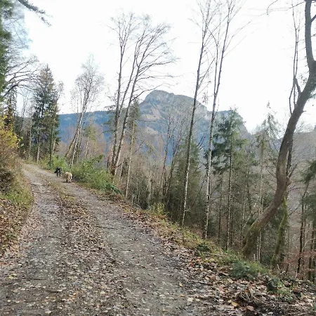 Apartamento Cocon Paisible De 37 M2 Entre Et Montagnes *