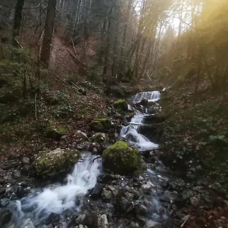 Cocon Paisible De 37 M2 Entre Et Montagnes *