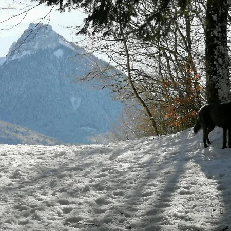 Cocon Paisible De 37 M2 Entre Et Montagnes Dingy-Saint-Clair