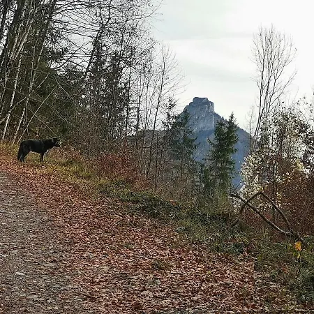 Cocon Paisible De 37 M2 Entre Et Montagnes *